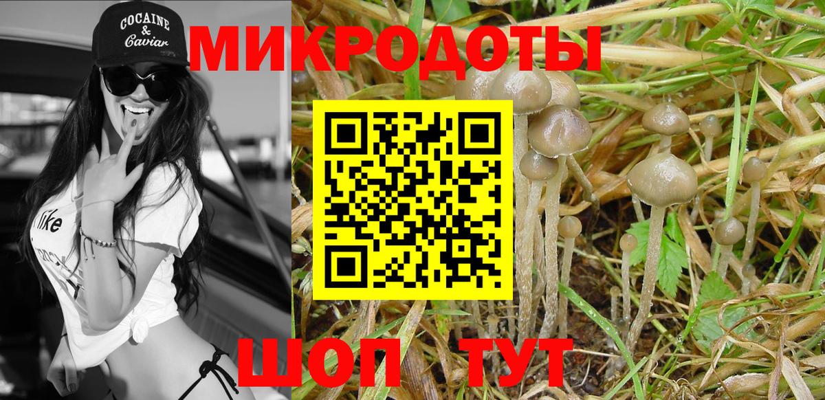 Псилоцибиновые грибы Psilocybine cubensis Гусь-Хрустальный