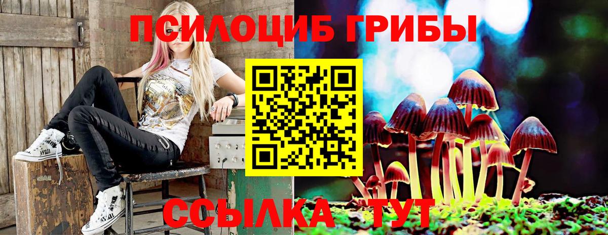 Гусь-Хрустальный  Псилоцибиновые грибы Magic Shrooms  Вход с VPN 